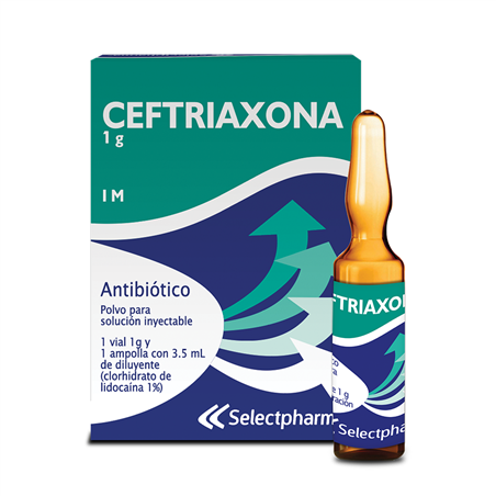 Ceftriaxona + Lidocaína